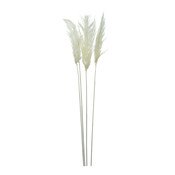 3pc Dried Pampass Grass - White