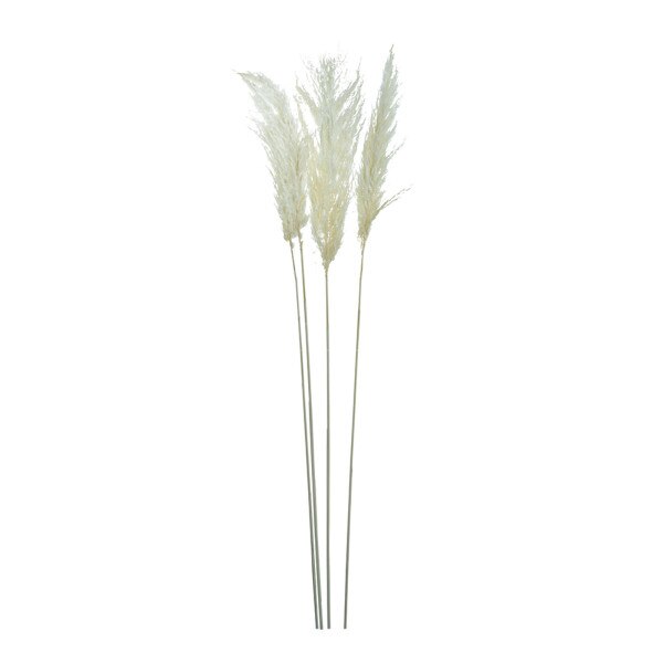3pc Dried Pampass Grass - White