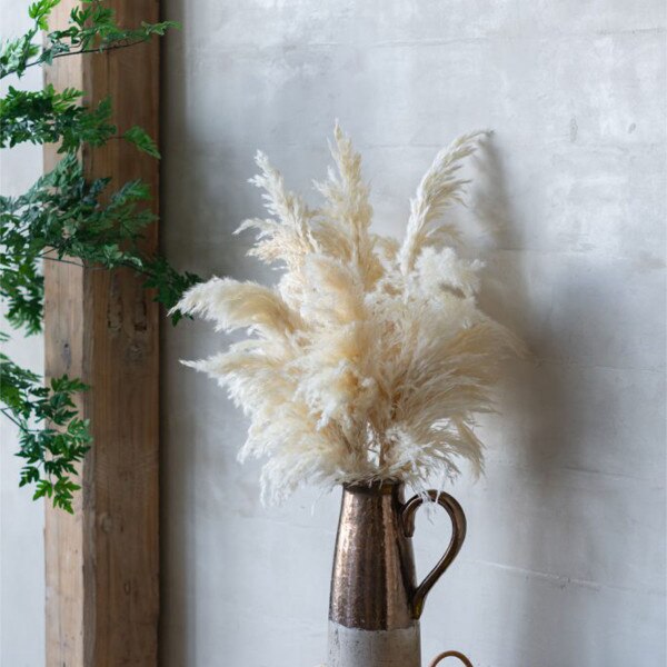 3pc Dried Pampass Grass - White