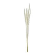 6pc Dried Pampass Grass - White