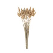 50pc Dried Bunny Tail - Natural