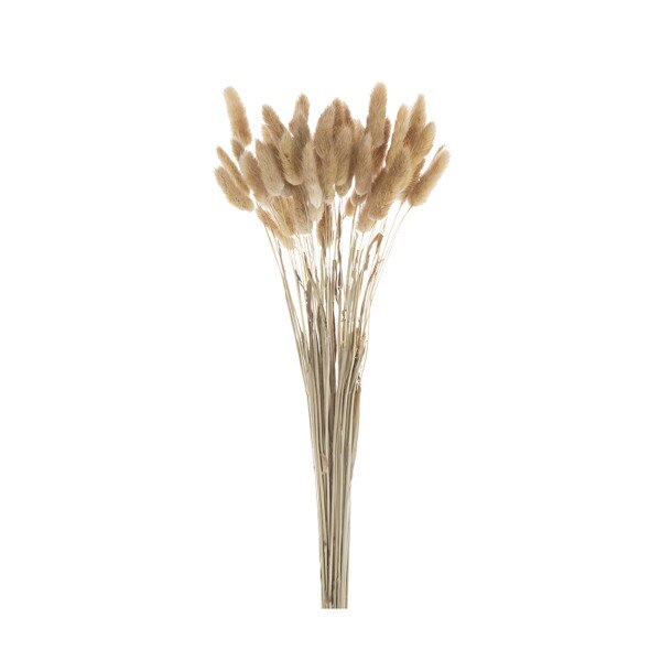 50pc Dried Bunny Tail - Natural