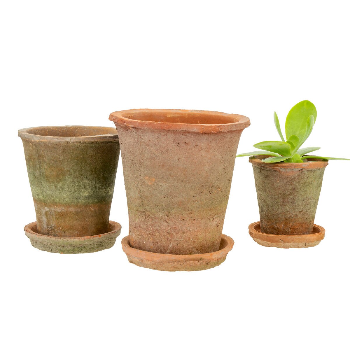 Aged Clay Pot w/ Saucer