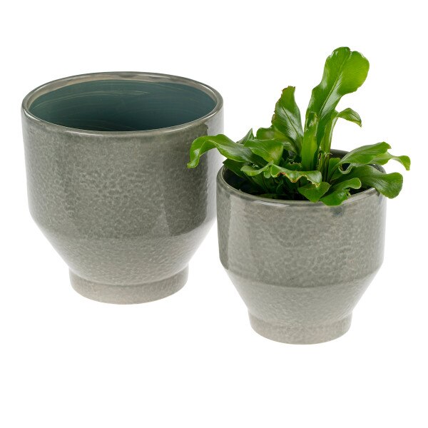 Oxford Pot