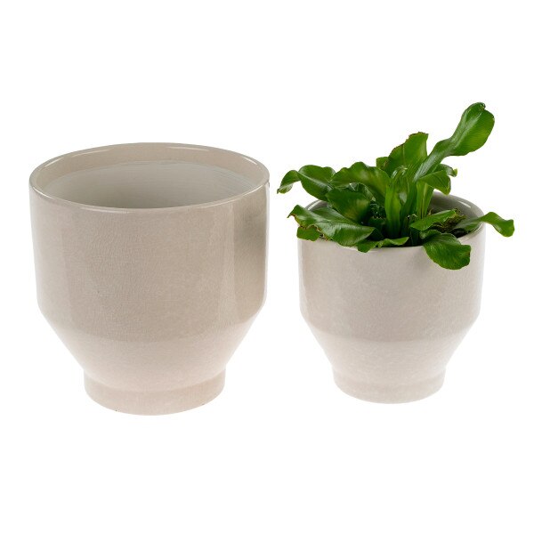 Oxford Pot