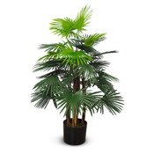 Fortune Palm 92cm