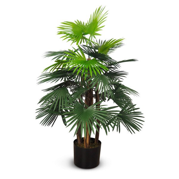 Fortune Palm 92cm