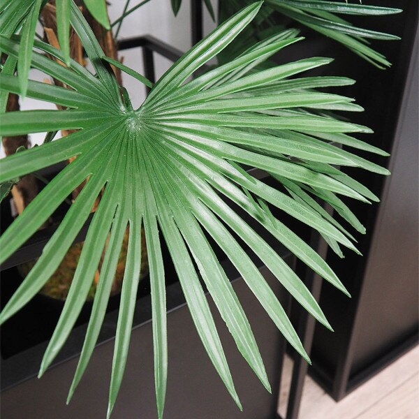 Fortune Palm 92cm