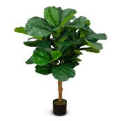 Fiddle Leaf Tree 130cm