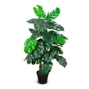 Monstera 122cm