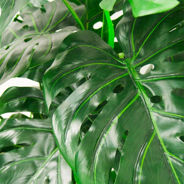 Monstera 122cm