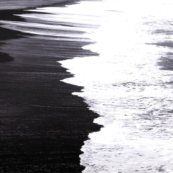 Washed Ashore