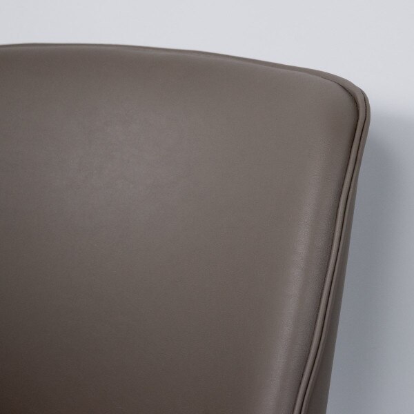 Eva Dining Chair