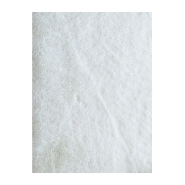 Touch Rug