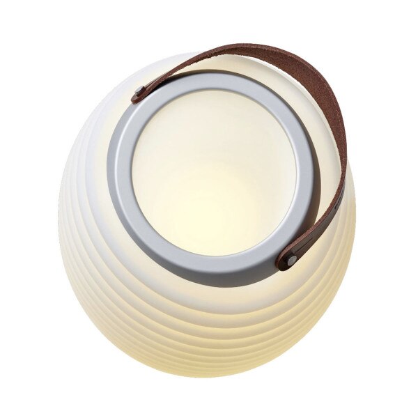 Synergy S Lamp