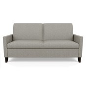 Harris 2 Seat Sofa Convertible